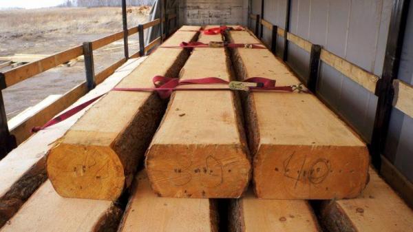 Лафет кедра